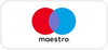 Maestro payment icon