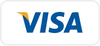 Visa payment icon